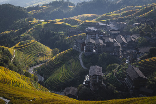 Sunlit village nestled among vast terraced rice fields