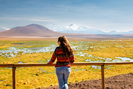 Woman in Andean sweater leaning on a railing above altiplano wet