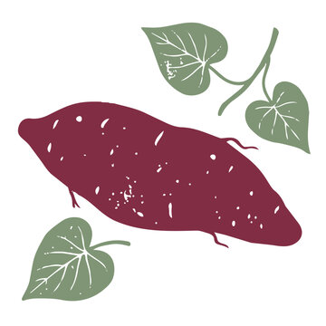 Printmaking Style Sweet Potato and Roasted Sweet Potato Vector Illustration for Autumn Food Design／版画風のさつまいも・焼き芋・秋の食材モチーフのベクターイラスト