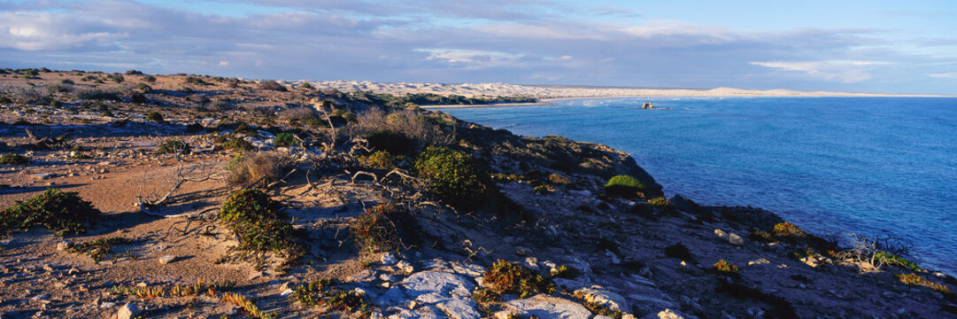 Coastal cliffs and dunes along the great australian bight