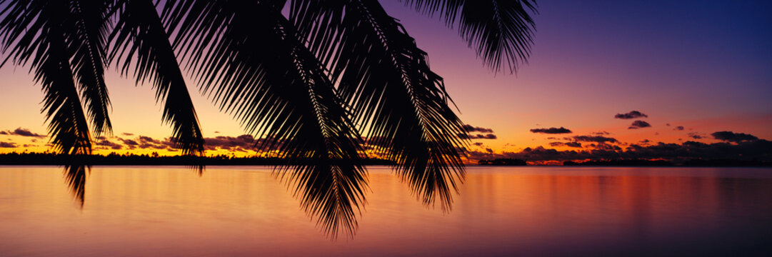 Sunset over tropical waters with palm leaves polynesia
