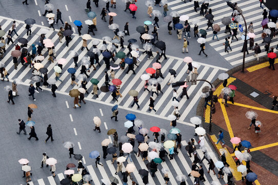Pedestrians crossing shibuya intersection with umbrellas