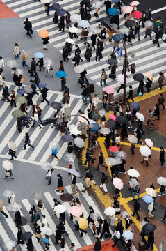 Crowd crossing shibuya crossing in rainy tokyo street scene