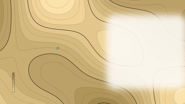 Seamless 4K looping contour animation: bathymetric contours tinted bands. Clean vector isolines drifting over a light background in yellow and gold, built as a calm topographic pattern for titles and 