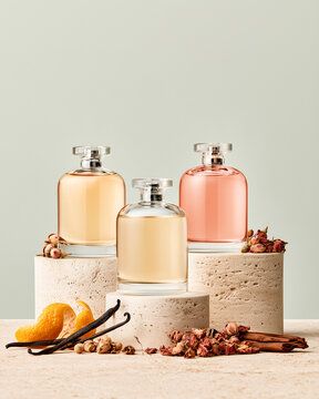 Luxury Perfume Layering Still Life with Botanical Ingredients