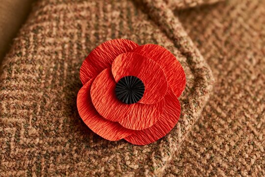 Paper poppy flower pinned on brown wool coat, remembrance day symbol for veteran memorial