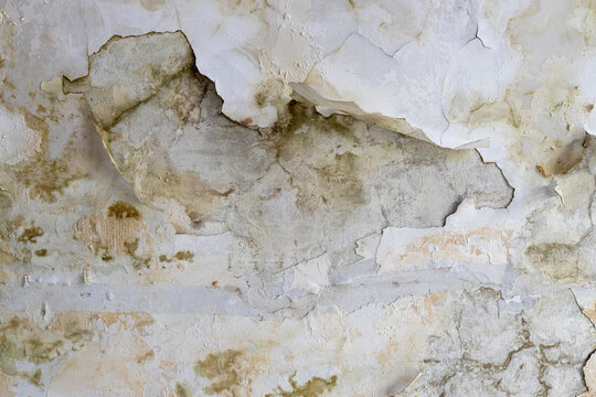 Peeling Paint and Mold Texture on Ceiling