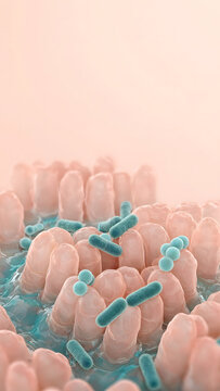 3D render of rod shaped and round beneficial bacteria resting on soft translucent intestinal villi