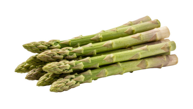 Fresh green asparagus spears bunch