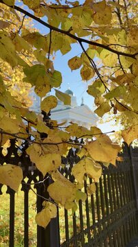 Helsinki Cathedral Framed by Golden Autumn Leaves Vertical Video