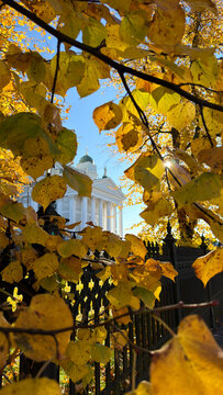 Helsinki Cathedral Framed by Autumn Leaves Vertical Photo