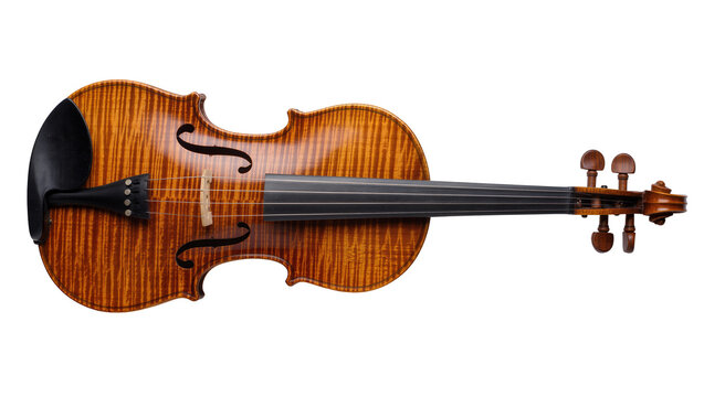 Acoustic violin with flamed maple wood and ebony fingerboard, isolated on transparent background