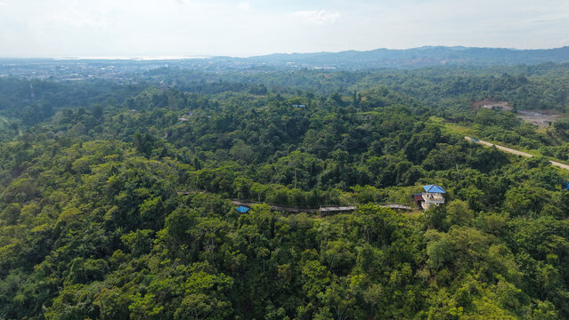 Aerial View of Scenic Wooden Boardwalk Through Green Hills at Bukit Cinta, Sorong, West Papua, Indonesia