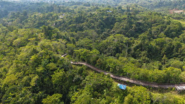 Aerial View of Scenic Wooden Boardwalk Through Green Hills at Bukit Cinta, Sorong, West Papua, Indonesia
