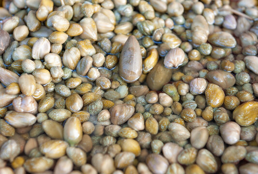 Pickled caper bud harvest background. Organic Mediterranean food ingredient pile