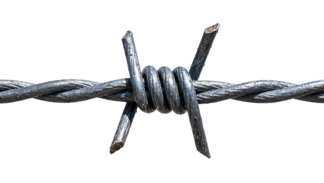 Sharp twisted steel barbed wire strand with metal spikes