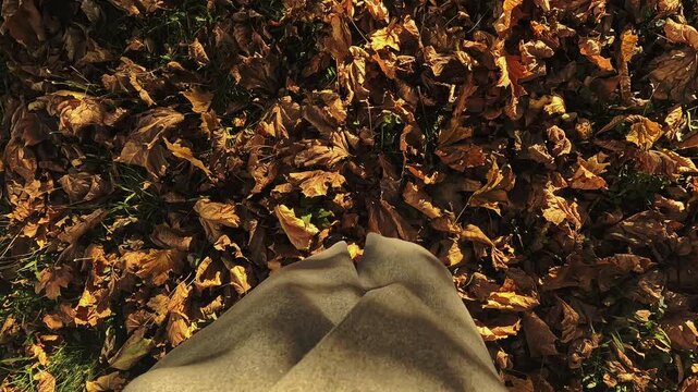 Fall mood. Legs of woman walking in autumn park. POV