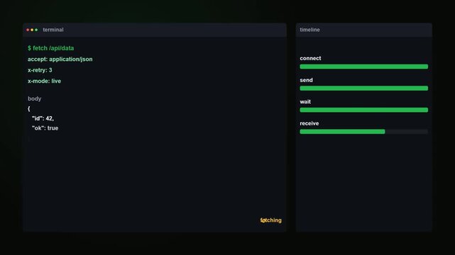 API Data Fetching HTTP Request Animation with Response Body JSON and Network Transaction Timeline Progress