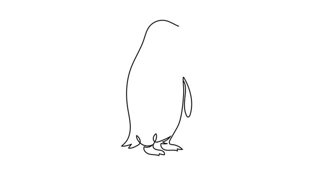 One line drawing of a penguin, minimalist continuous line art of an Antarctic bird, vector illustration isolated on white background.