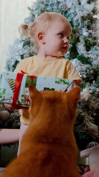 A Child Presents a Gift to a Curious Cat in a Cozy Holiday Setting Surrounded by a Beautiful Christmas Tree and Festive Decorations