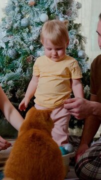 A Joyful Holiday Morning as a Child Interacts with a Cat Amidst a Decorated Christmas Tree Filled with Ornaments and Cheerful Family Moments