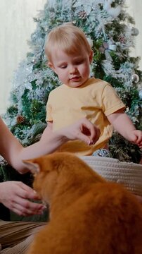 A Joyful Moment of a Child in a Yellow Shirt Interacting with an Orange Cat by a Christmas Tree Decorated with Silver and White Ornaments