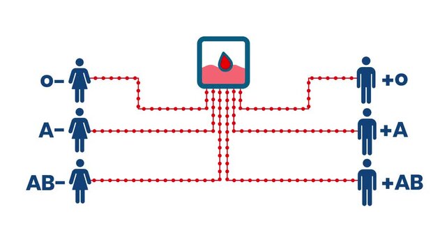 Type compatibility infographic animation featuring blood group donation