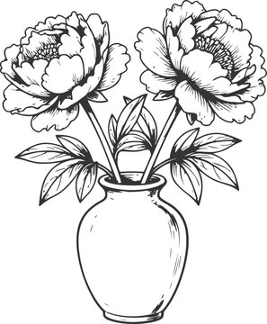 Two blooming peonies in a simple vase, black and white botanical line art illustration