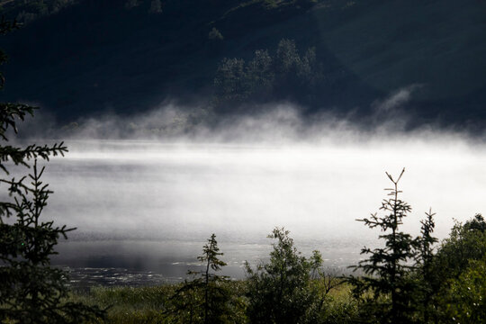 Fog over the water at a lake near Soldotna, Alaska on a summer day.