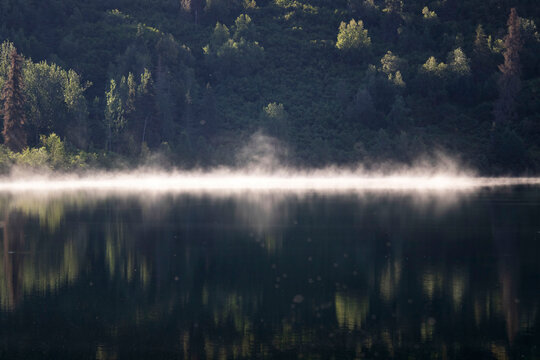 Fog over the water with green trees on a hill in the background at a lake near Soldotna, Alaska on a summer day.