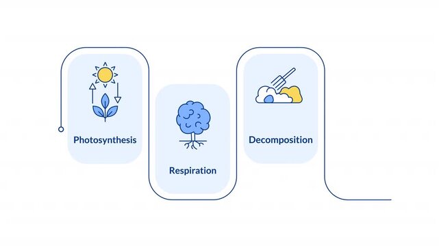 Carbon recycling cycle rectangular 4 steps infographic animation. Waste decomposition techniques. Ecosystem health improvement. Modern flat icons workflow motion graphic with animated flow path