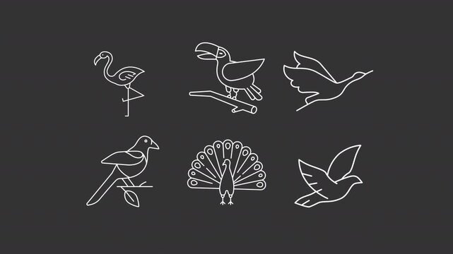 Animated exotic birds white line icons. Wild avian creatures outline animation set. Tropical forest avian habitats. Amazing tropical fauna in zoo. Dark mode linear motion graphics loop