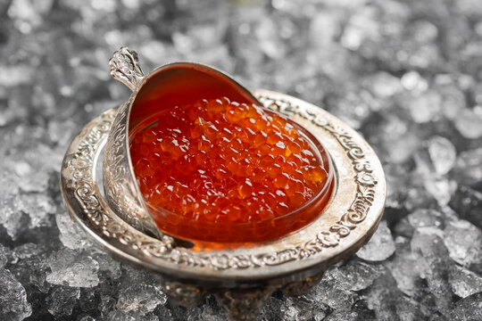 Red fish roe in an elegant silver caviar dish, served on crushed ice. Glass insert, engraved metal. Glossy orange roe. Luxury seafood delicacy closeup macro