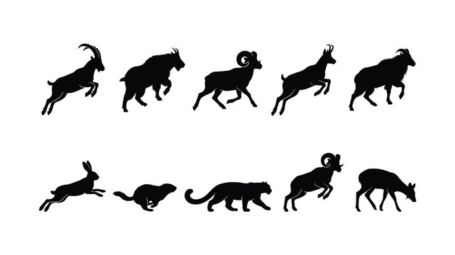 Mountain wildlife animal silhouette set vector illustration