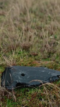 A destroyed military drone lies in a forest, highlighting environmental damage caused by the Russia-Ukraine war in Europe, including debris pollution and threats to the natural ecosystem.