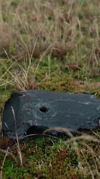 A destroyed military drone lies in a forest, highlighting environmental damage caused by the Russia-Ukraine war in Europe, including debris pollution and threats to the natural ecosystem.