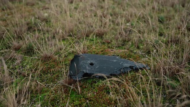 A destroyed military drone lies in a forest, highlighting environmental damage caused by the Russia-Ukraine war in Europe, including debris pollution and threats to the natural ecosystem.