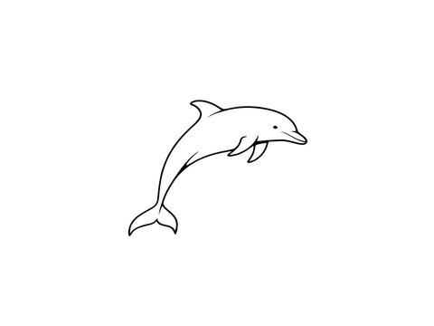Jumping dolphin silhouette vector illustration