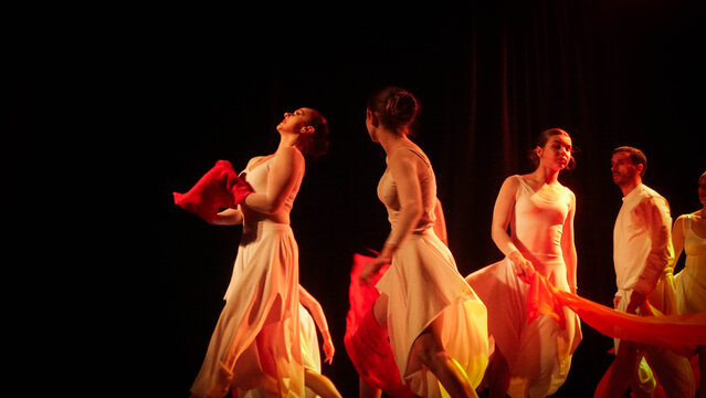 Contemporary Ballet Duo Performing an Expressive Dance on Stage