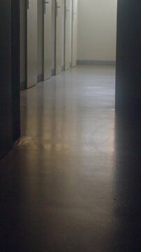 Empty school corridor with row of closed classroom doors and reflected
