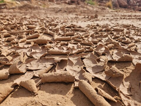 Mud cracks forming in drying flood debris after heavy rainfall