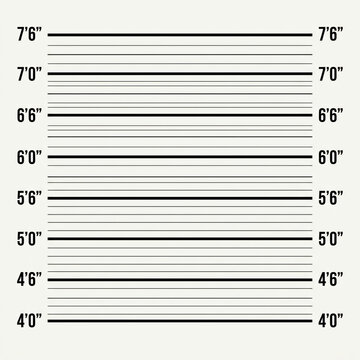 Minimal flat vector illustration of a police mugshot lineup background chart with clean white template layout straight horizontal black measurement height scale lines and numbering for card print