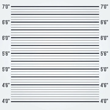 Minimal flat vector illustration of a police mugshot lineup background chart with clean white template layout straight horizontal black measurement height scale lines and numbering for card print