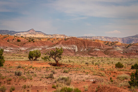 Desert Hills in Rio Arriba County