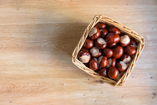 Horse chestnuts in a wicker basket with copy space