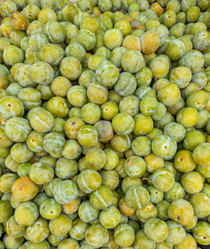 Fresh Ripe Greengage Plums Harvest Background Texture