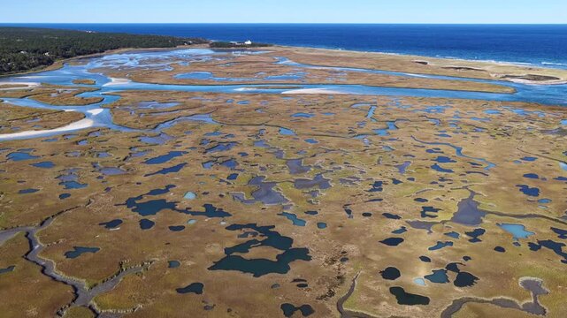 Winding channels meander through a scenic salt marsh growing on Cape Cod, Massachusetts. Salt marshes are an incredibly important coastal habitat used by many species of fish, birds, and shellfish.