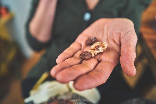 Close-Up of Walnuts and Almonds Held in an Open Hand