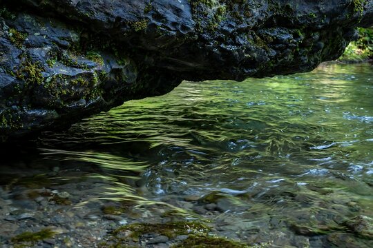 A dark mossy rock overhangs a clear flowing stream with gentle ripples and reflections in a peaceful forest setting