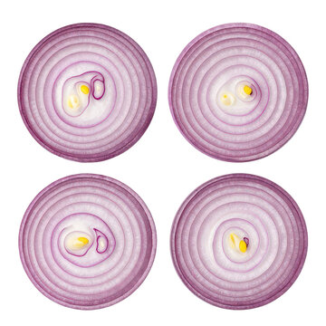 Four sliced red onions showing interior rings isolated on black